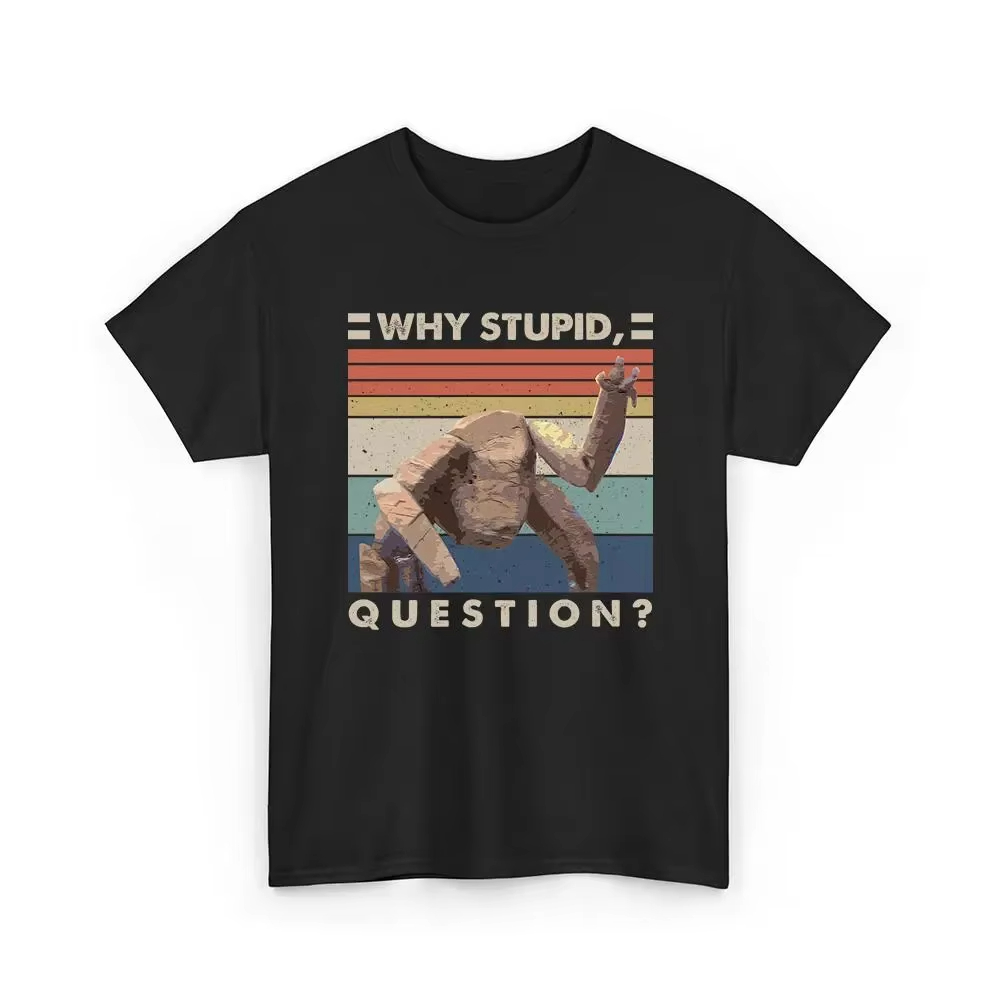 Project Hail Mary - Rocky Why  - Men'S Fashion Questions avis et prix